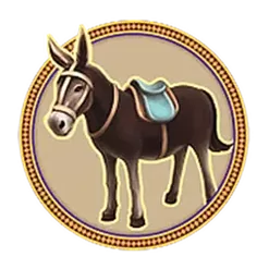 icon 5