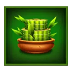 icon 4