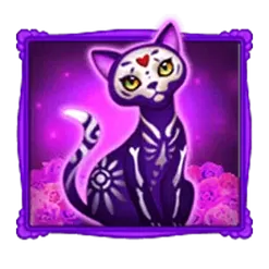 icon 3
