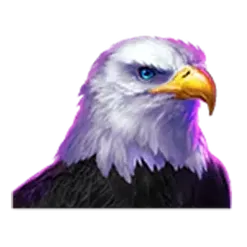 icon 2