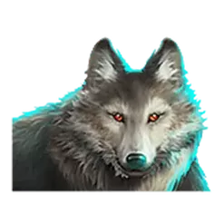 icon 4