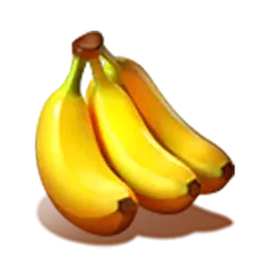 icon 5