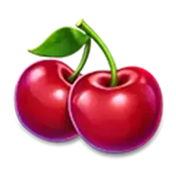 icon 5