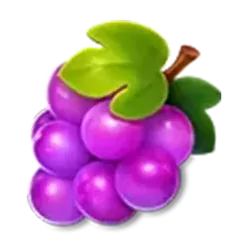 icon 4