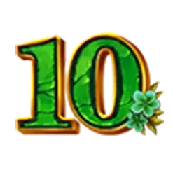 icon 10
