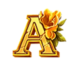 icon 6