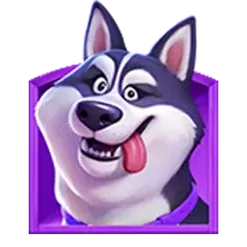 icon 1