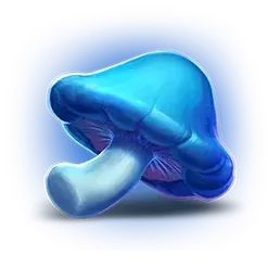 icon 5