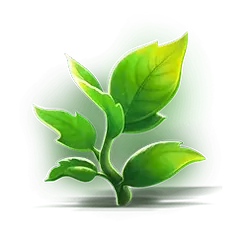 icon 6