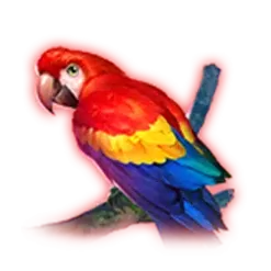 icon 4
