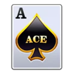 icon 1