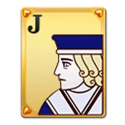 icon 4