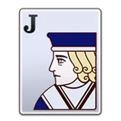 icon 5