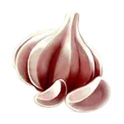 icon 10