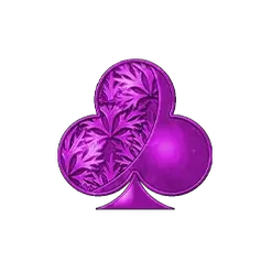 icon 12