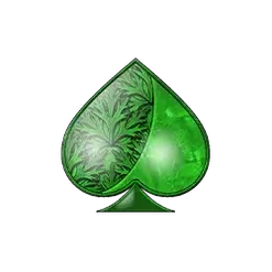 icon 10