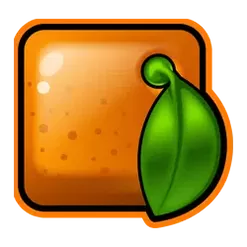 icon 5