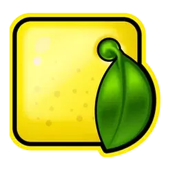 icon 6