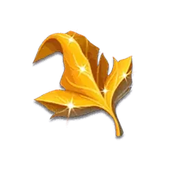 icon 5