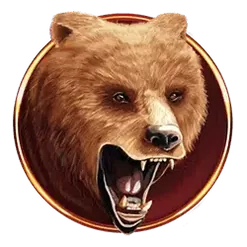 icon 2