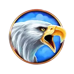 icon 4