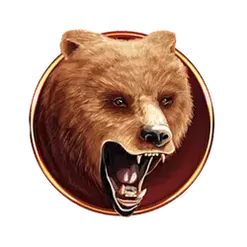 icon 2