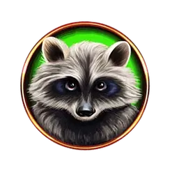 icon 5