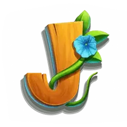 icon 9