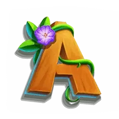 icon 6