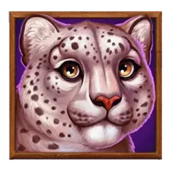 icon 2