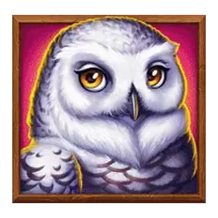 icon 4