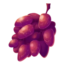 icon 9