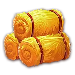 icon 3