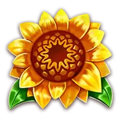 icon 1