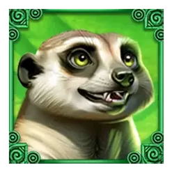 icon 6