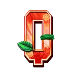 icon 9