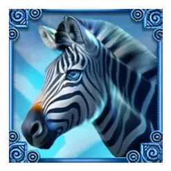 icon 5