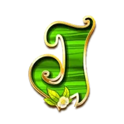 icon 7
