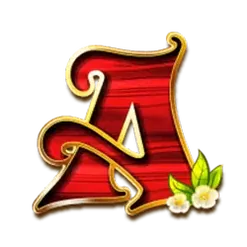 icon 4