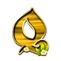 icon 6
