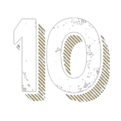 icon 10