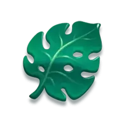 icon 6