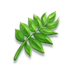 icon 9