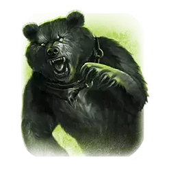 icon 4