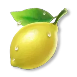 icon 5