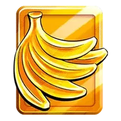 icon 13