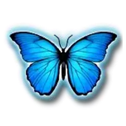 icon 1