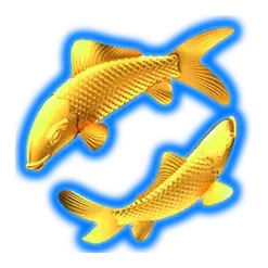 icon 6