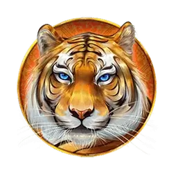 icon 6