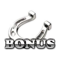 icon 14